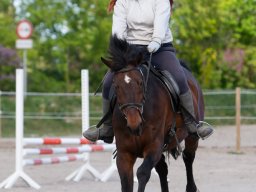IMG_0499_web